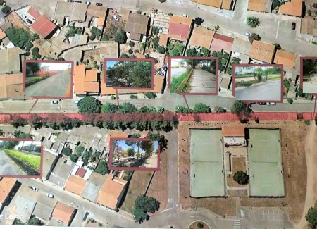 PIANO DI MITIGAZIONE DEL DESTRA TIRSO. INCONTRO COMITATO CITTADINO DI SOLARUSSA