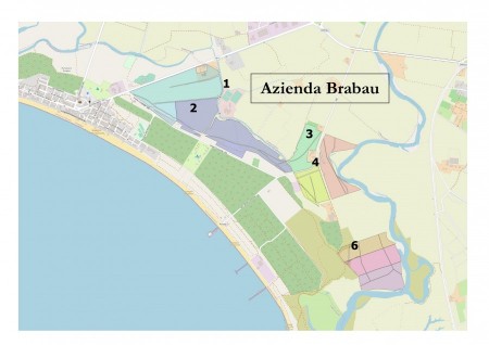 NUOVA PROCEDURA PER  L’AFFITTO DEI LOTTI RIMANENTI IN LOCALITA’ “BRABAU”