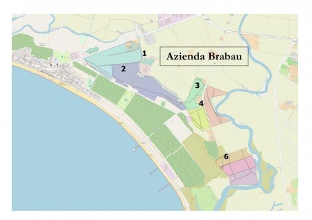 AVVISO PUBBLICO finalizzato all’assegnazione temporanea in affitto di terreni agricoli di proprietà del Consorzio Di Bonifica Dell’oristanese – LOCALITA’ “BRABAU”. Biennio 2023 – 2024