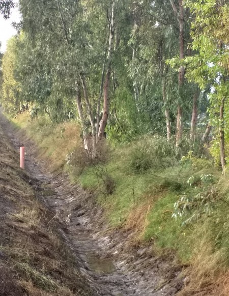 Attività di manutenzione ordinaria e straordinaria