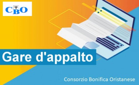 Procedura aperta telematica per l'affidamento dei lavori di "Revisione Distretti Sassu 1-2-3-4-5 di  Arborea. Sostituzione di reti vetuste”. IMPIANTO SASSU 4 DI ARBOREA  AG_AGR_016 – C.A.T. P0917