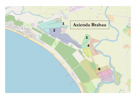 Procedura ad evidenza pubblica per l'assegnazione temporanea in affitto di terreni agricoli in Località BRABAU - ORISTANO