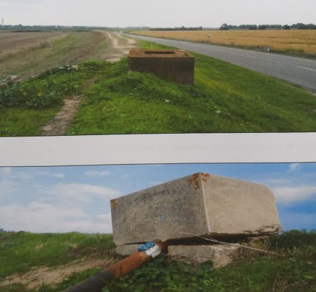 INTERVENTI RICOSTITUZIONE INTEGRITÀ ARGINI FIUME TIRSO