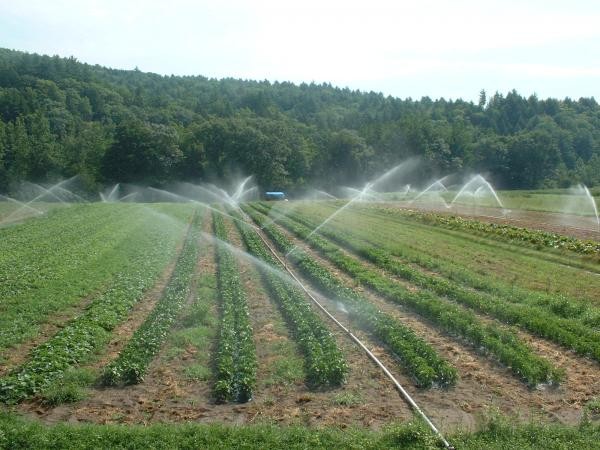 SOSPENSIONE EROGAZIONI IDRICHE NEL COMPRENSORI NORD - DISTRETTO SINIS NE - COMUNICATO DEL 20/06/2023